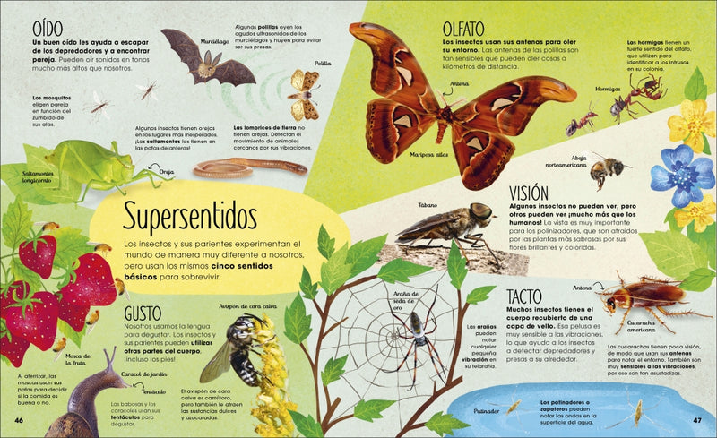 La vida secreta de los insectos